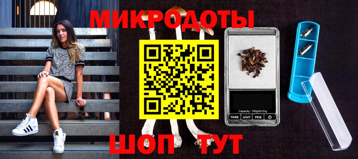 Галлюциногенные грибы Psilocybine cubensis Омск