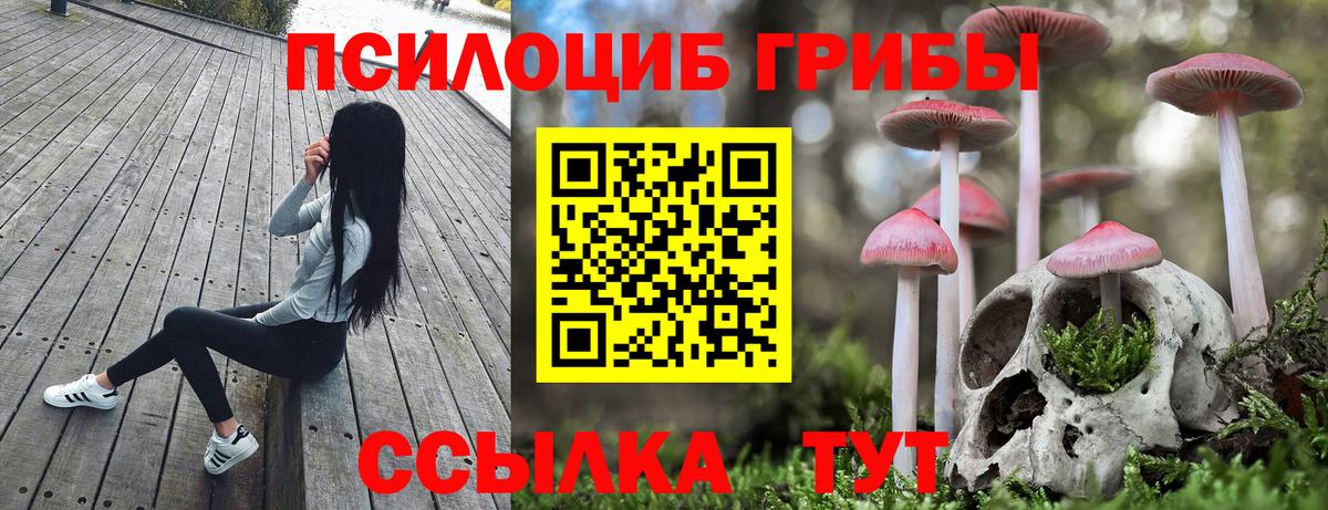 Псилоцибиновые грибы Magic Shrooms  наркота  Вход с VPN  Омск  Псилоцибиновые грибы мицелий 